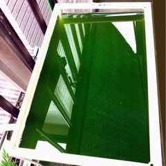 🟩メダカ飼育GREEN.WATER2,000mlメダカを成長させる為に‼︎長維持グリーンウォーターの画像
