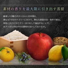 【新品】梅乃宿クラフトジン 750ml 柚子林檎 ジャパニーズクラフトジン GINの画像