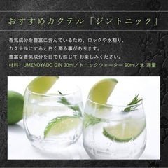 【新品】梅乃宿クラフトジン 750ml 柚子林檎 ジャパニーズクラフトジン GINの画像
