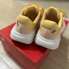 ニューバランス（レディース)Fresh Foam X 880 v15の画像