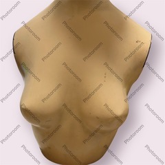 【希少品】ヴィンテージ マネキン　女性用マネキン 上半身 肌色　ヨーロッパの画像