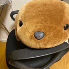 ワンちゃんの画像