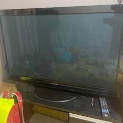 （10月10日まで）テレビの画像