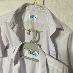 田名部中学Ｙシャツの画像