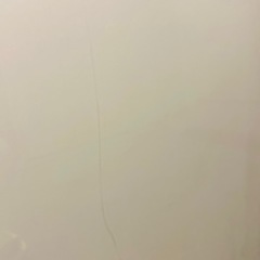 額　89センチ×127センチの画像