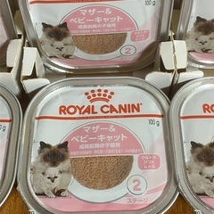 ROYALKANIN 猫まんま ②ステージ［100g×18缶セット　の画像