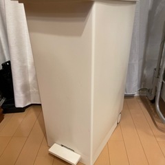ケユカ KEYUCA 両開き　ダストボックスの画像