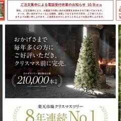 クリスマスツリー🌲150㎝シングルセット　オーナメントほかの画像