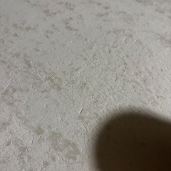 soil ソイルバスマットライトの画像
