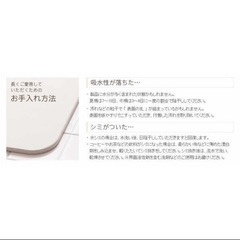 soil ソイルバスマットライトの画像