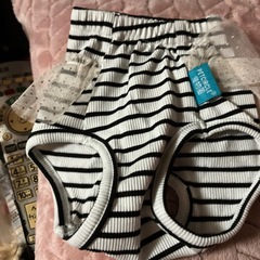 女の子ペット用パンツSの画像