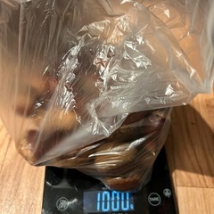 大粒の生栗1kg 10月4日収穫の画像