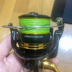 ダイワ レガリス LT4000-CXH のリールの画像