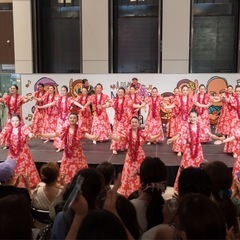 名東区フラダンス 新クラス開講の画像