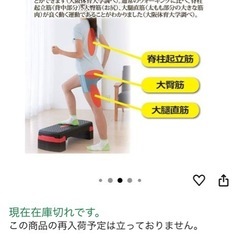 後藤 ステッププラススリーの画像