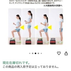 後藤 ステッププラススリーの画像