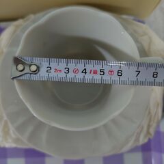 新品箱入り【リチャードジノリ／コーヒーカップ＆ソーサー×５】の画像