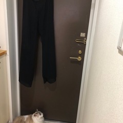 黒のシフォン裾広がりパンツの画像