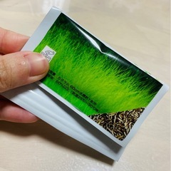 水草の種の画像