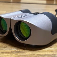 GIOTTOS 12×25 RV Field 4.4° 双眼鏡 ジオットス ソフトケース アウトドア スポーツ観戦の画像