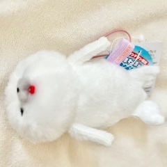 ほわほわあざらしちゃんの画像