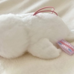 ほわほわあざらしちゃんの画像