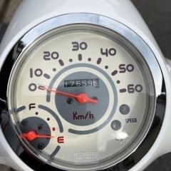 ホンダ ジョルノ スポルト 50cc の画像