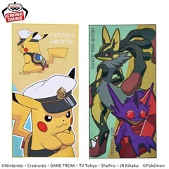 ポケットモンスター ビッグマイクロファイバータオル　の画像