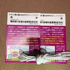 第22回 こうのす花火大会 協賛席Ａ チケット2枚(鴻巣花火大会)の画像