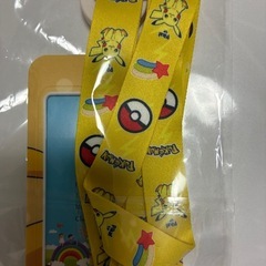 クロミとピカチュウのカードケースの画像