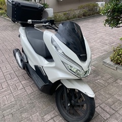 ホンダ　Pcx 125 jf81の画像