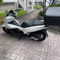 ホンダ　Pcx 125 jf81の画像