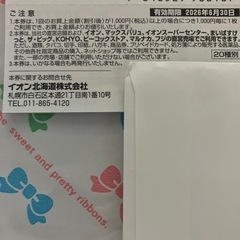 イオン北海道株主優待券　１００枚綴　2026年6月30日迄の画像