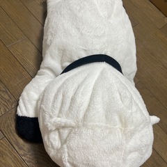 スパイファミリー　ボンドの画像