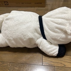スパイファミリー　ボンドの画像