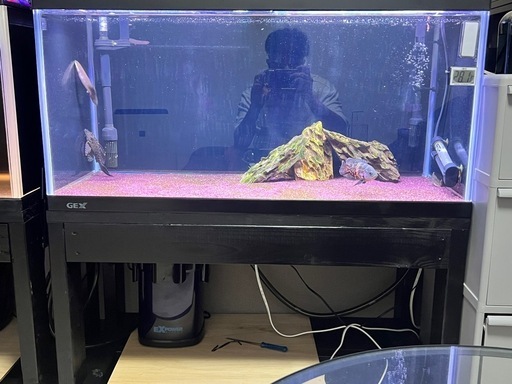 【急募最終値下げ】90センチ水槽セット