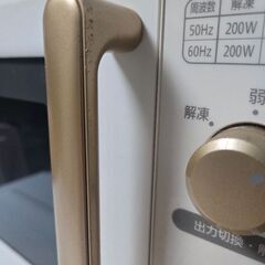 2019年製　単機能　電子レンジの画像