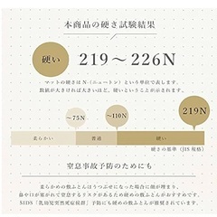 ベビー固綿敷布ふとんMiniの画像
