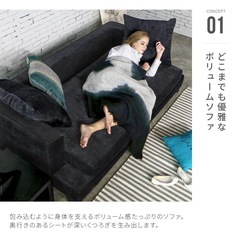 【クッションセット】ARMONIA ソファ ソファー 三人掛け 3人掛け デザイナーズ モダン ローソファ 北欧 カフェ アルモニアの画像