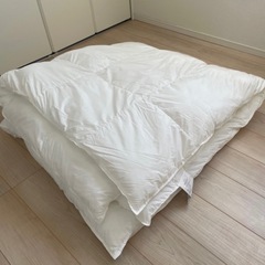 ニトリ ホテルスタイル羽毛掛け布団 ダブルサイズの画像