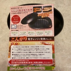 電子レンジ発熱プレート　の画像
