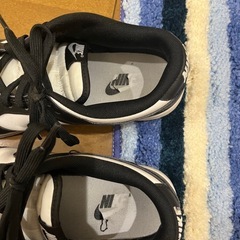 NIKE パンダ　low  古着　ナイキの画像