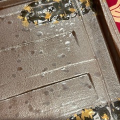 南蛮三方金散立渕口変皿の画像