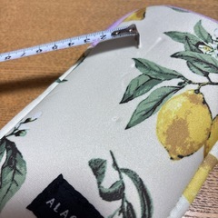 ALACAR カラビナポーチ　未使用　タグ無し　委託品の画像