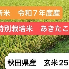 令和7年度　新米　特別栽培米　あきたこまち 　玄米　30kg 秋田県横手産　18000円 の画像