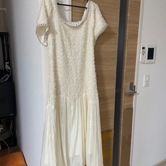 わんぴワンピースの画像