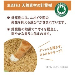 ニャンとも　猫砂の画像