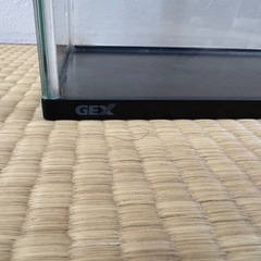gex水槽の画像