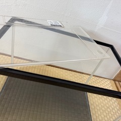 gex水槽の画像
