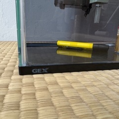 gex水槽　2の画像
